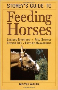 FeedingAHorse