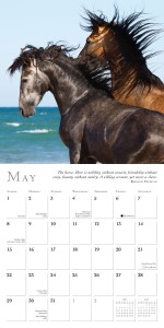 HorseCalendar