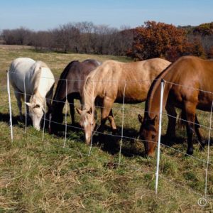 Quick Horse Fence