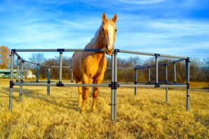 Portable Horse Fence